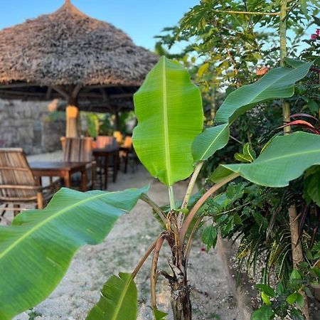 Mbuyuni Lodge Nungwi Buitenkant foto